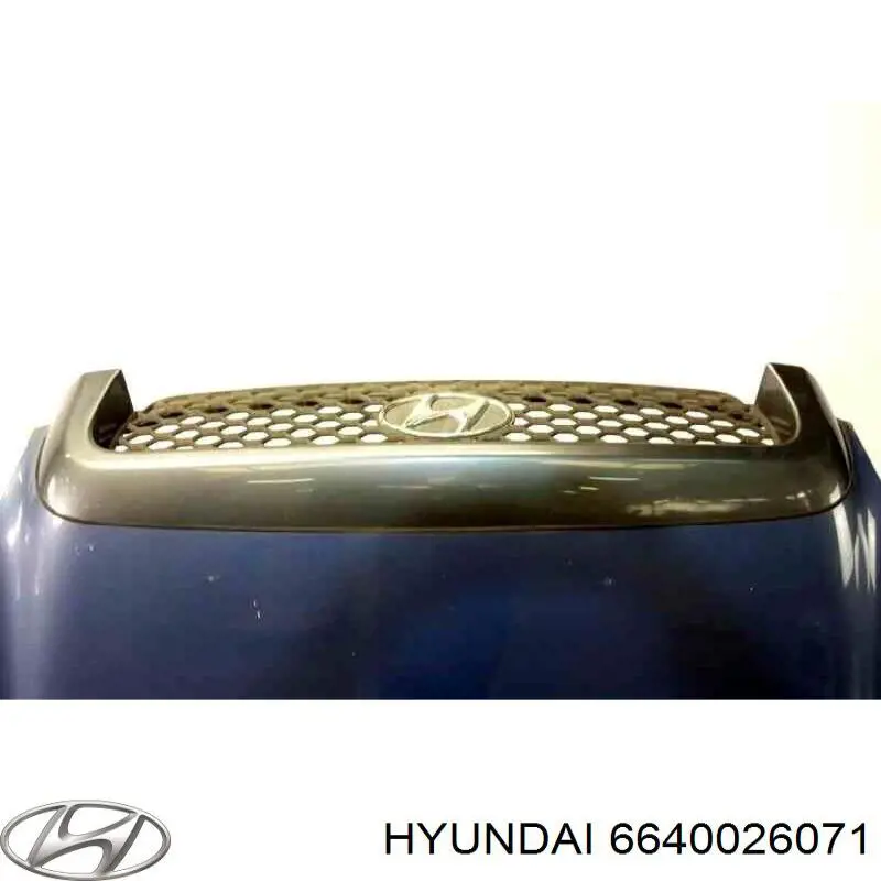 Капот 6640026070 Hyundai/Kia
