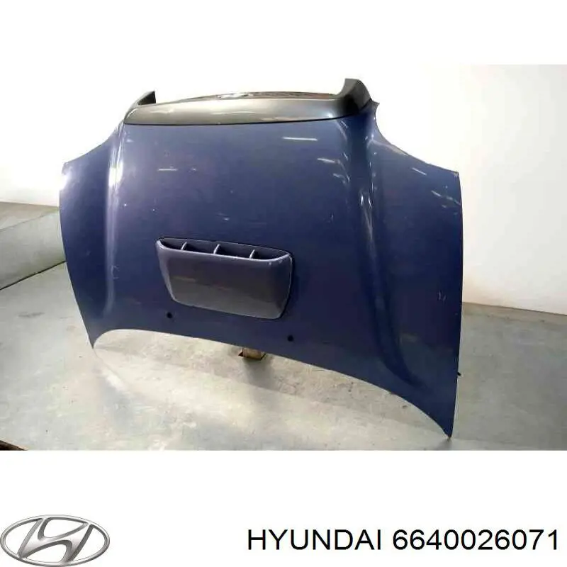 Капот Hyundai/Kia 6640026070 цена, от 112.99 USD