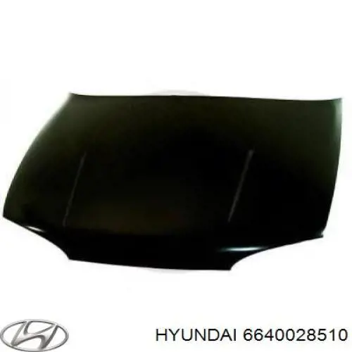 6640028510 Hyundai/Kia капот