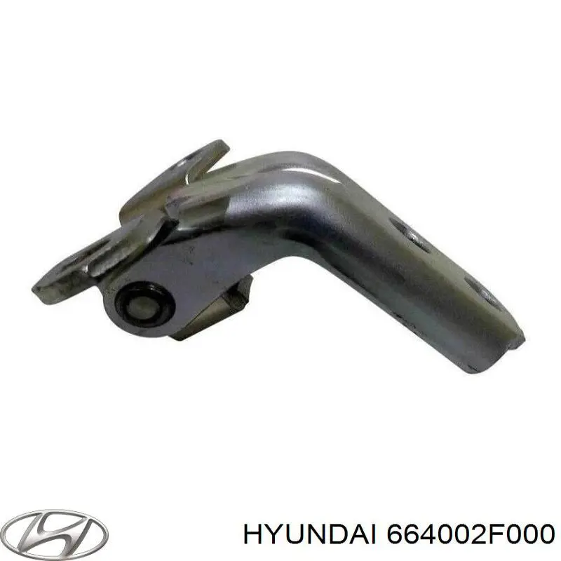 Капот Hyundai/Kia 664002F000 цена, от 93.56 USD