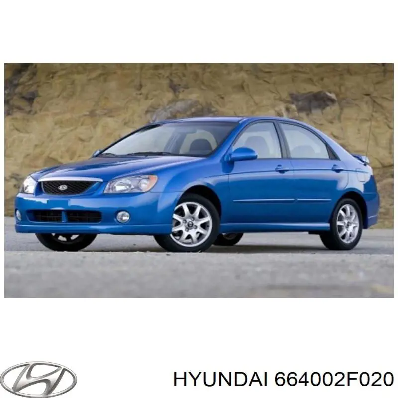 Капот 664002F020 Hyundai/Kia