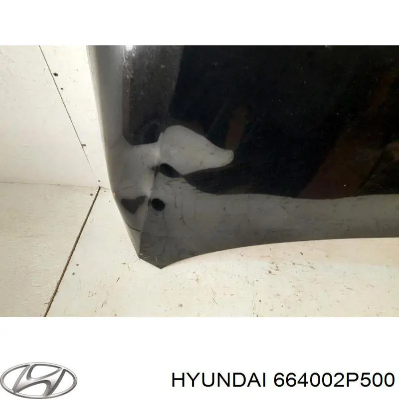 664002P500 Hyundai/Kia капот