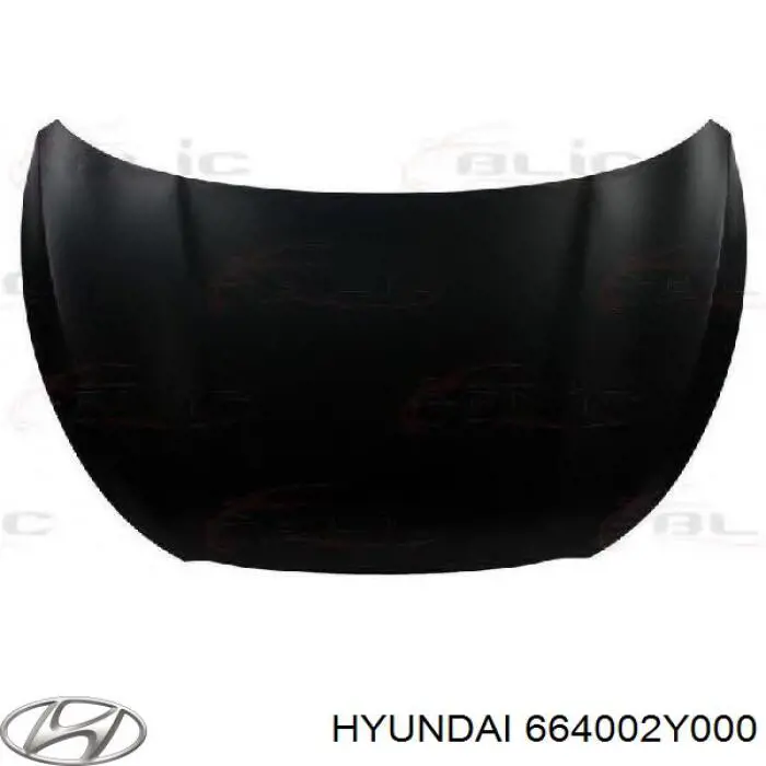 664002Y000 Hyundai/Kia капот