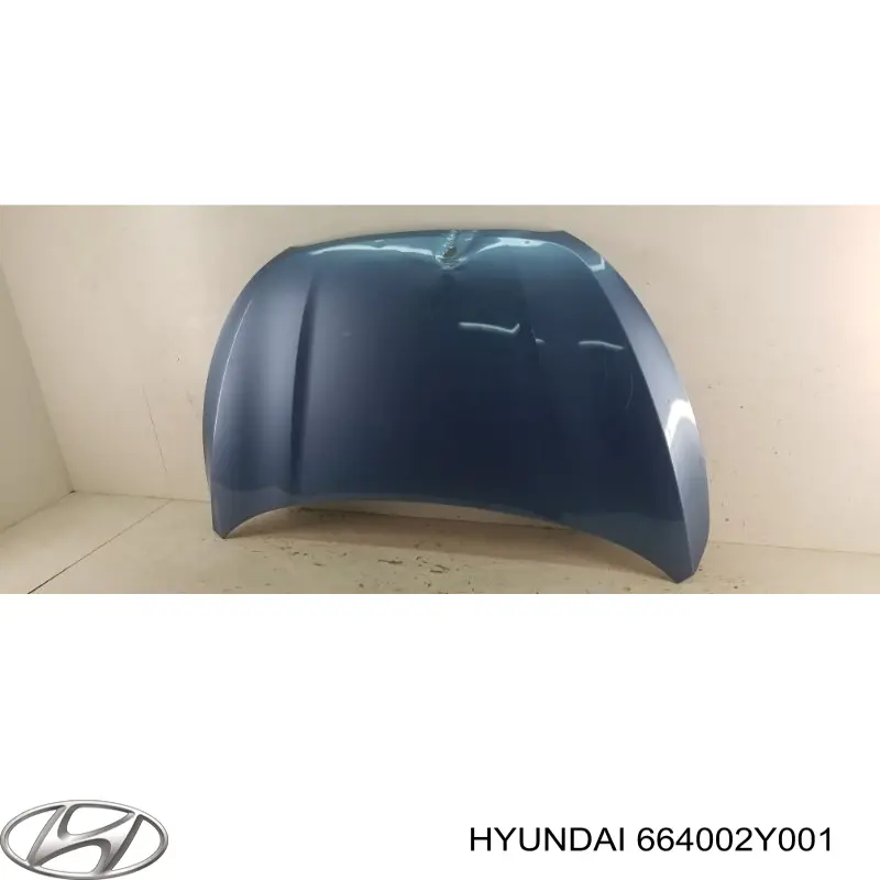 Капот Hyundai/Kia 664002Y001 цена, от 126.68 USD