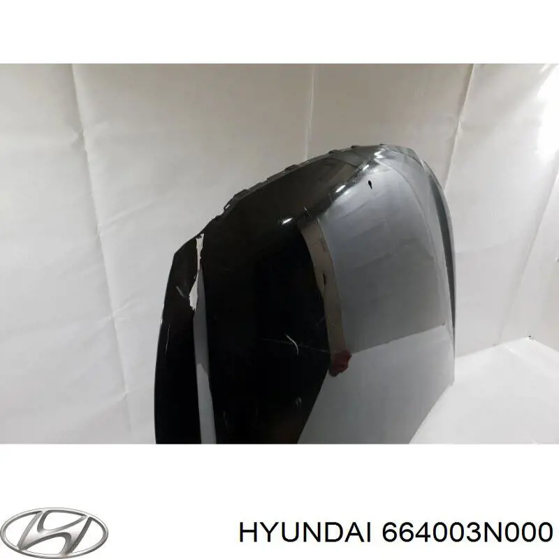 Капот на Hyundai Rohens (Хундай Рохенс)