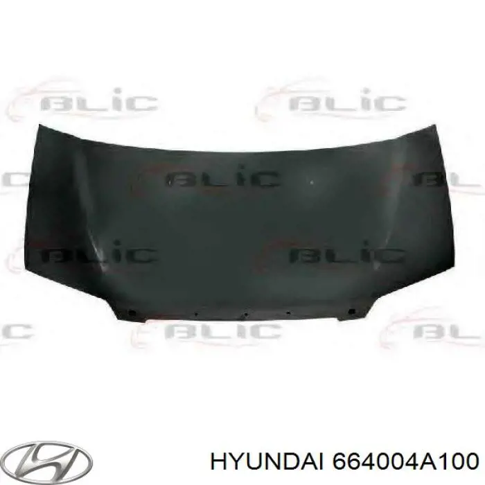 664004A100 Hyundai/Kia capota