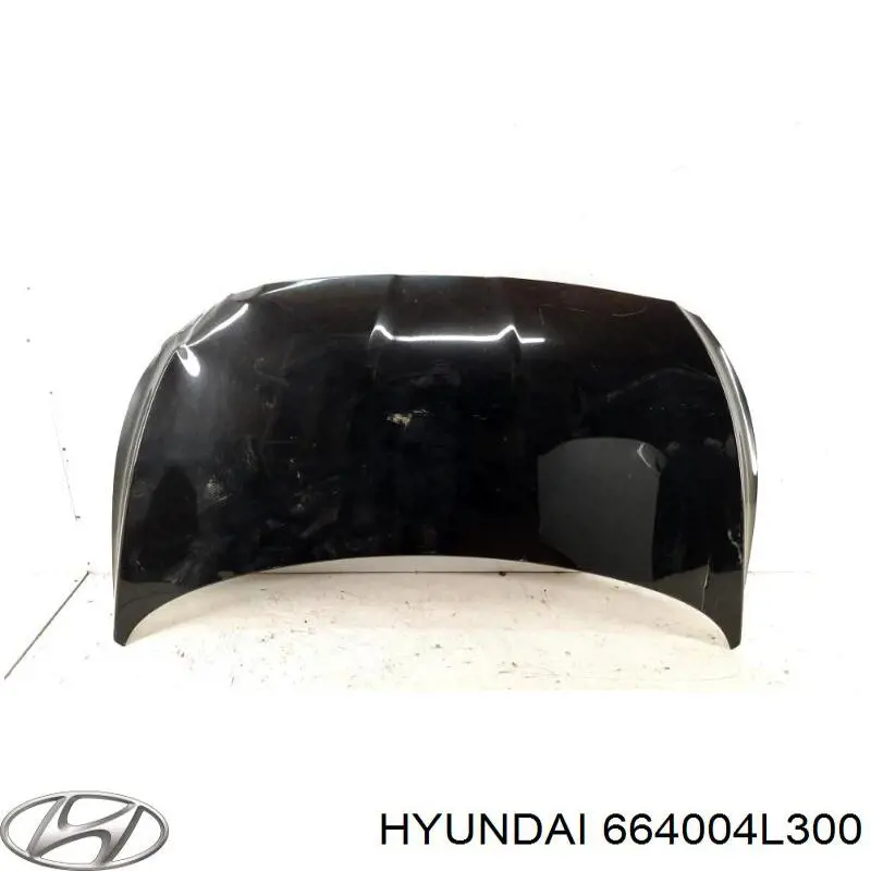 664004L300 Hyundai/Kia Капот