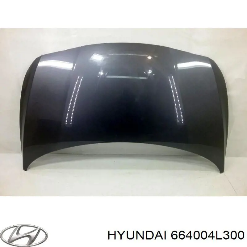 664004L300 Hyundai/Kia capota