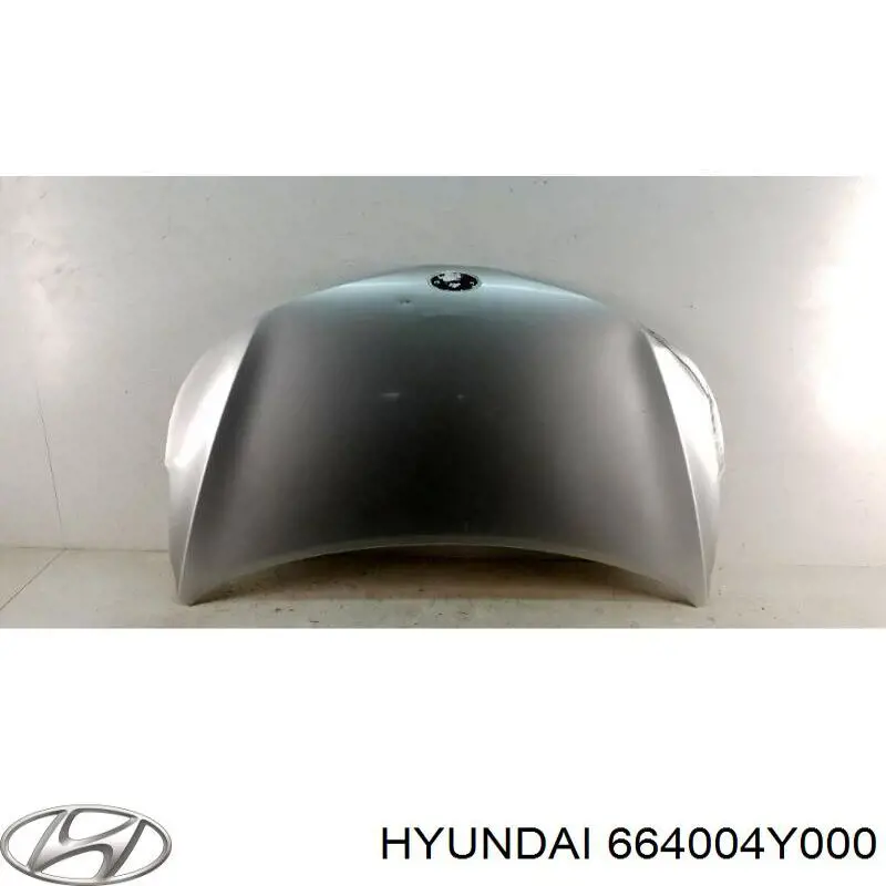 664004Y000 Hyundai/Kia Капот