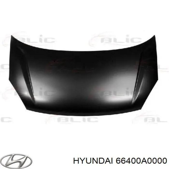 66400A0000 Hyundai/Kia 