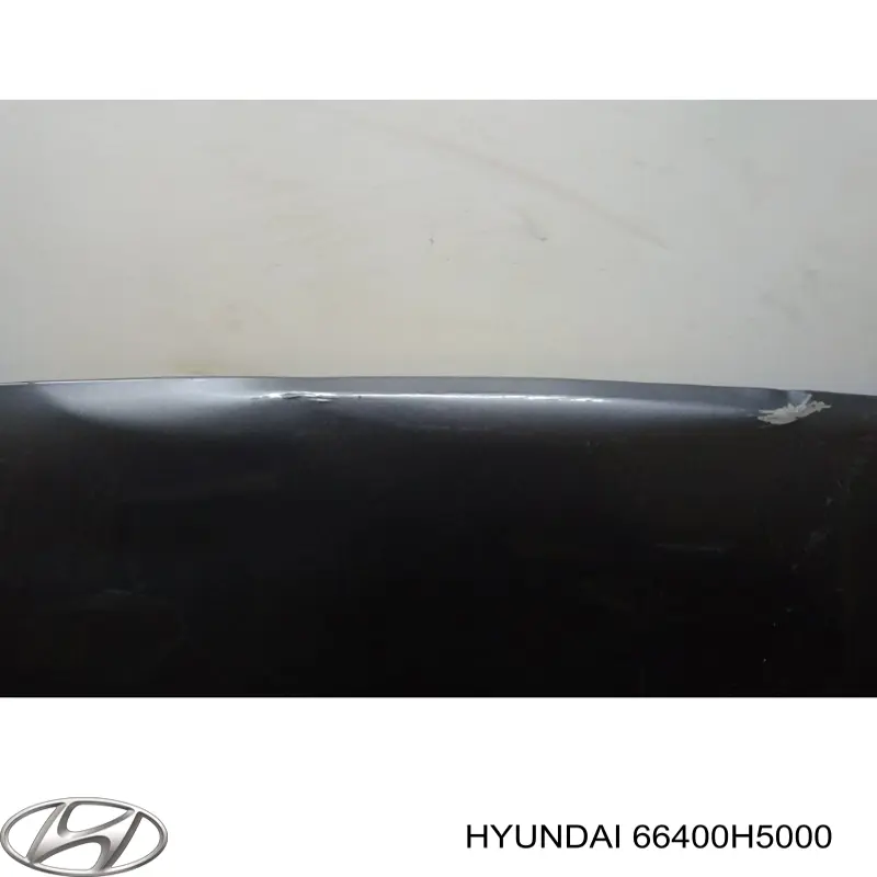 66400H5000 Hyundai/Kia