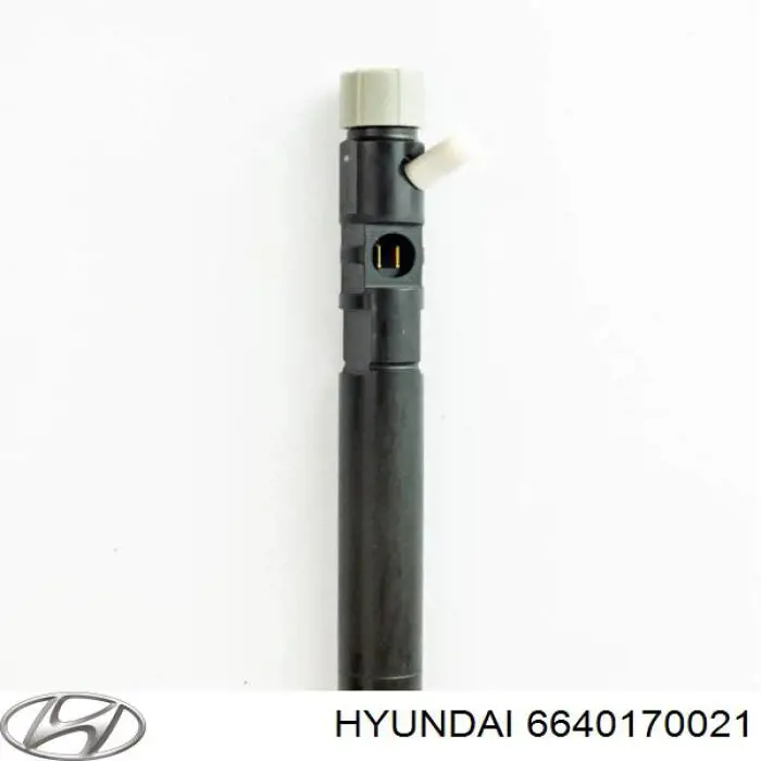 Форсунка впрыска топлива 6640170021 Hyundai/Kia