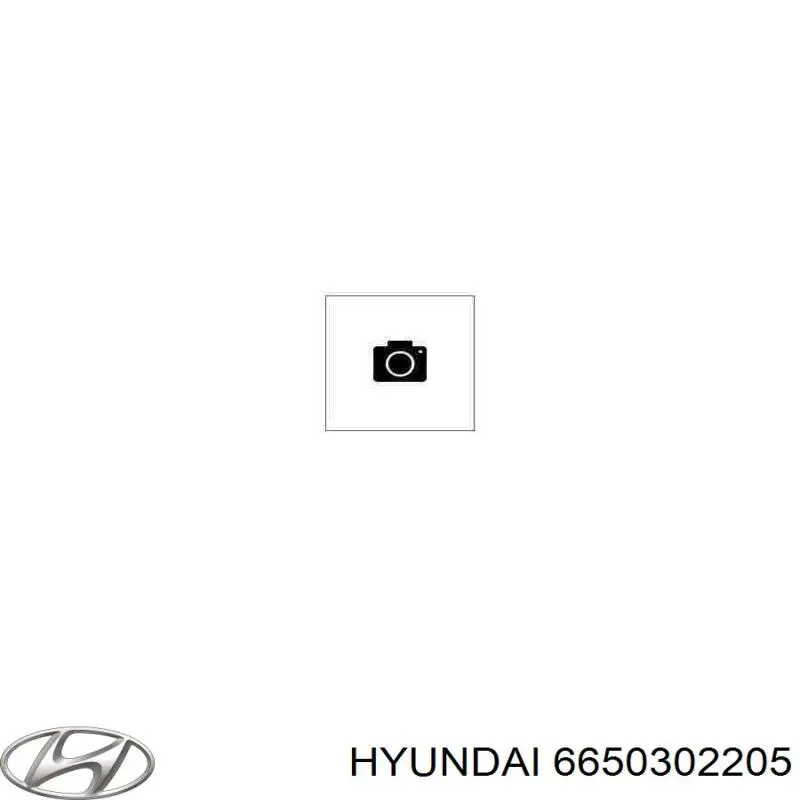 6650302205 Hyundai/Kia Демпферный маховик