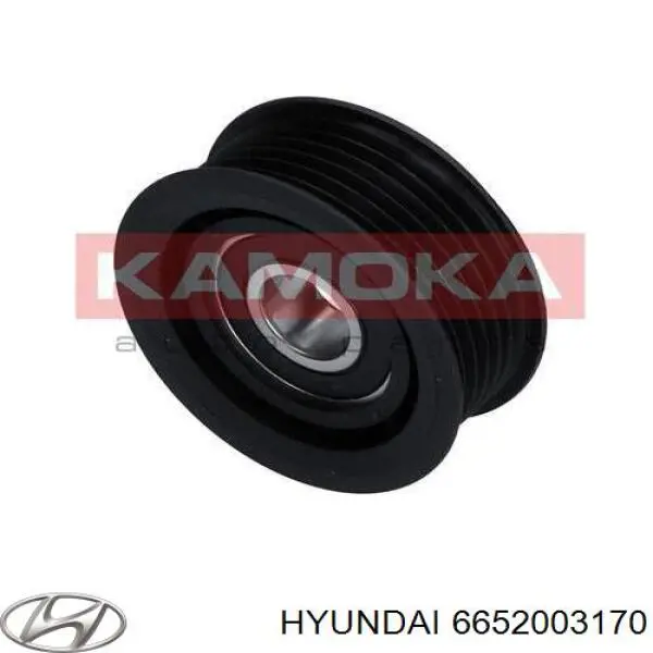 Паразитный ролик приводного ремня Hyundai/Kia 6652003170 цена, от 10.14 USD