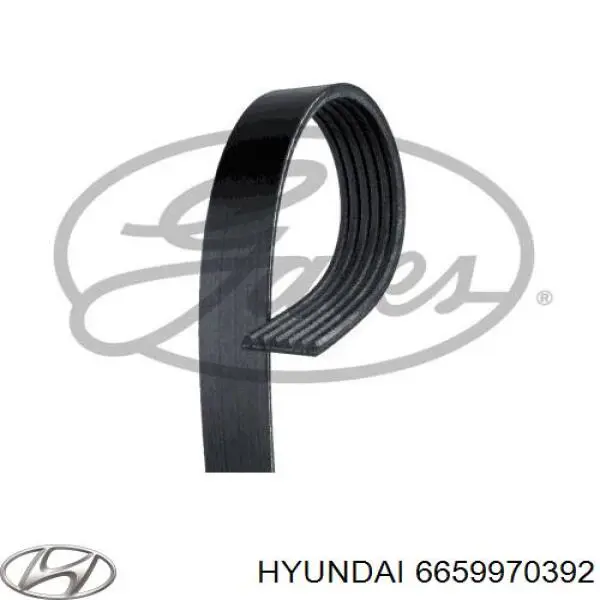 Ремень генератора 6659970392 Hyundai/Kia