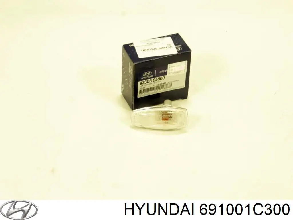 691001C300 Hyundai/Kia painel traseiro da seção de bagagem