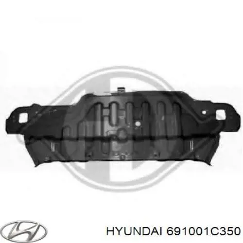 Панель багажного отсека задняя 691001C350 Hyundai/Kia