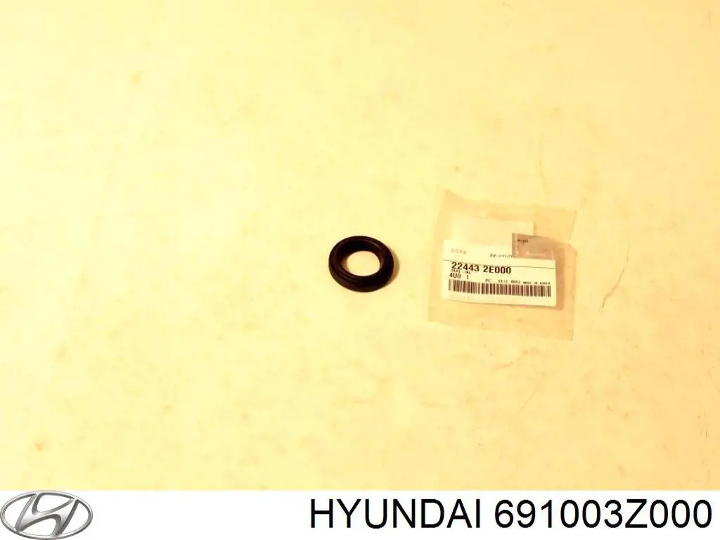Купить 691003Z000 Hyundai/Kia Панель задняя, багажного отсека