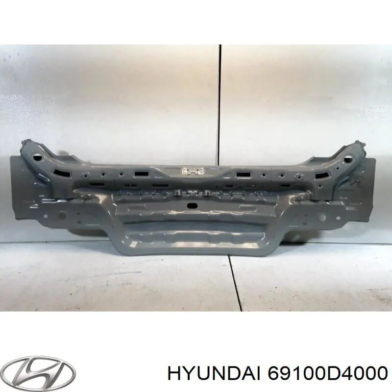 Перегородка Hyundai/Kia 69100D4000 цена, от 226.86 USD