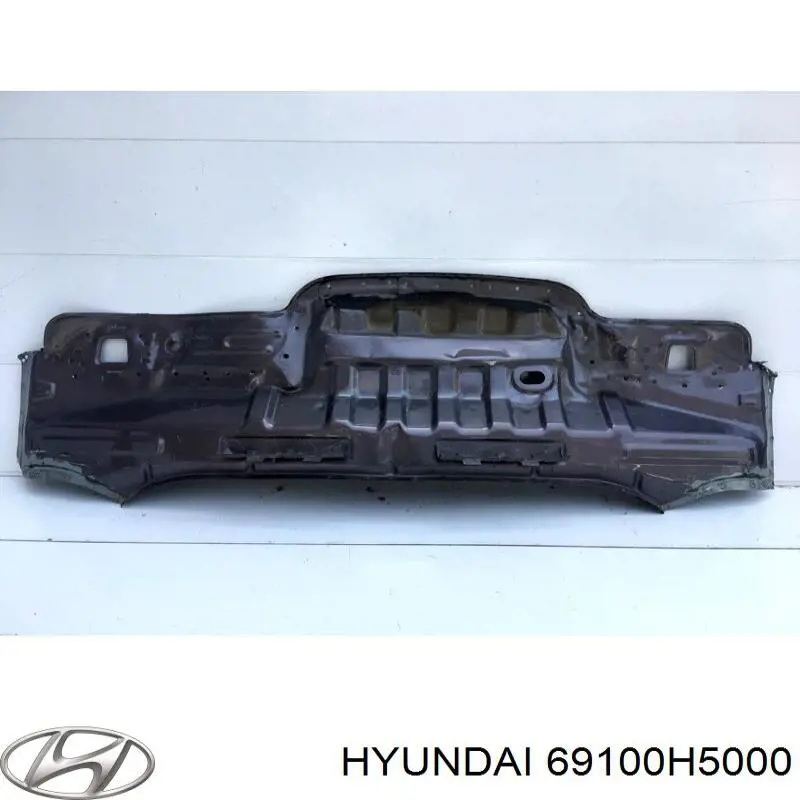 69100H5000 Hyundai/Kia Панель багажного отсека