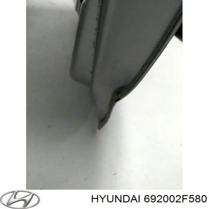 Купить 692002F580 Hyundai/Kia Крышка багажника