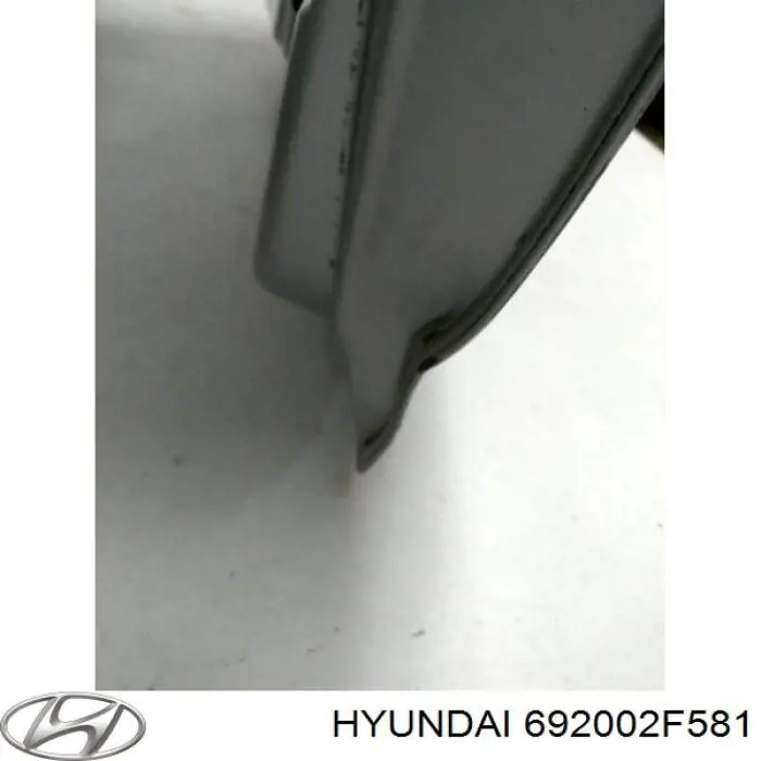 Крышка багажника Hyundai/Kia 692002F581 цена, от 260.44 USD