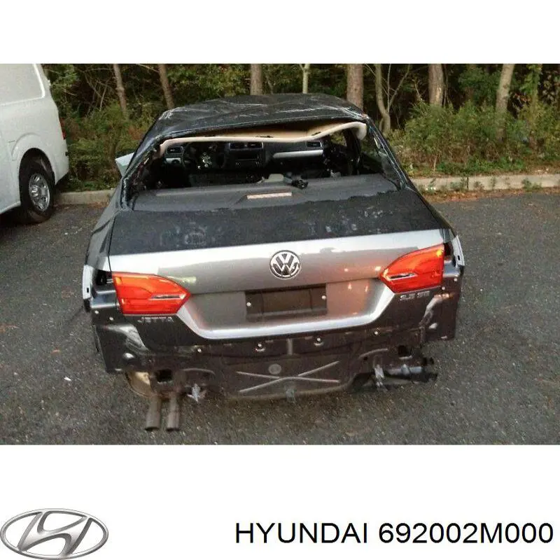 Крышка багажника Hyundai/Kia 692002M000 цена, от 88.98 USD