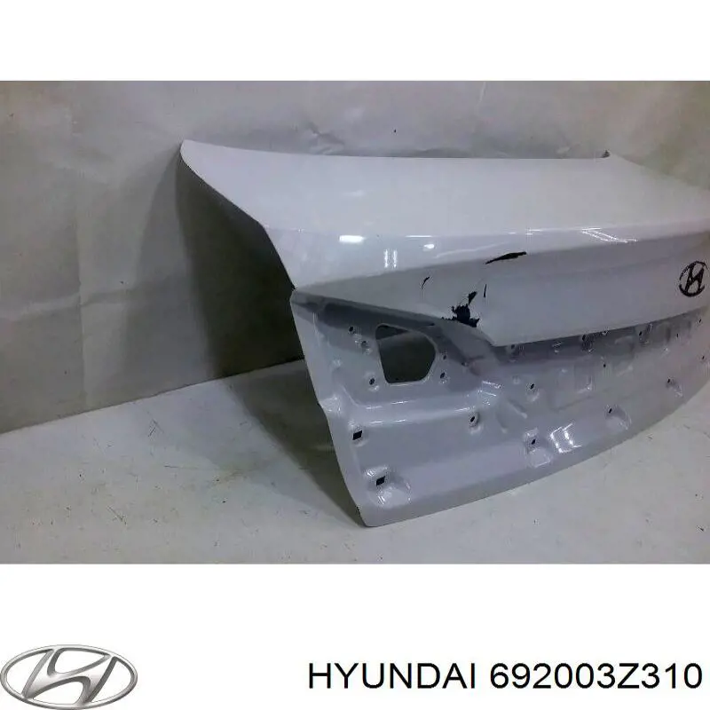 692003Z310 Hyundai/Kia tampa de porta-malas