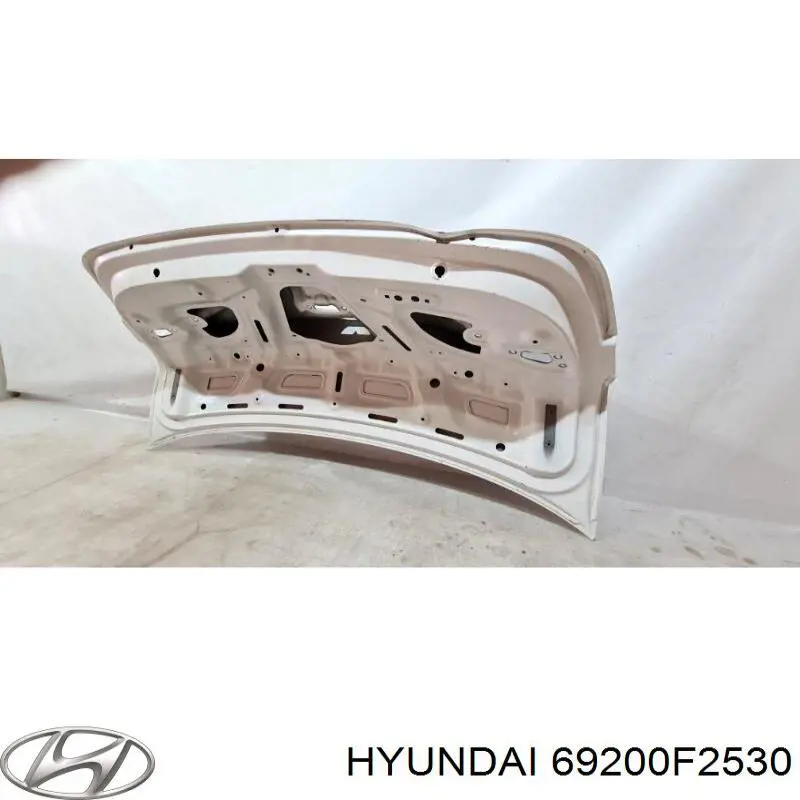 Крышка багажника Hyundai/Kia 69200F2530 цена, от 1023.39 USD