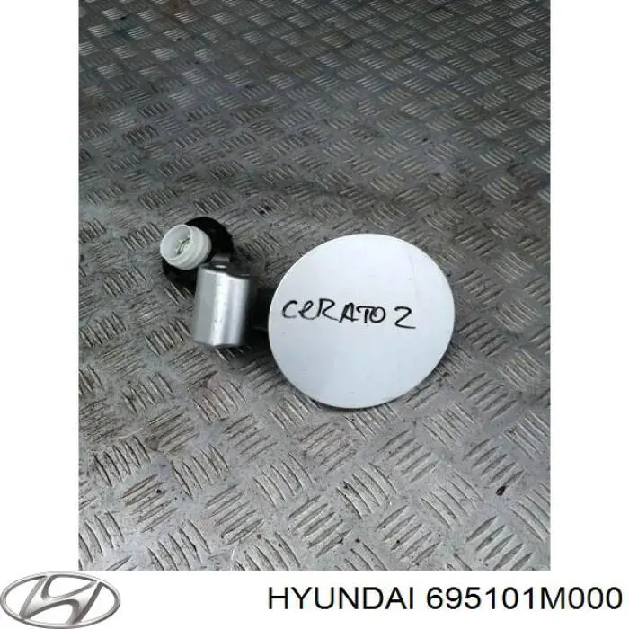 Купить 695101M000 Hyundai/Kia Лючок б/бака