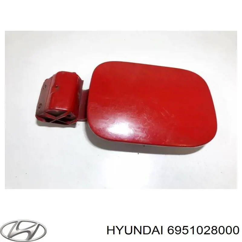 6951028000 Hyundai/Kia Дверка бензобака