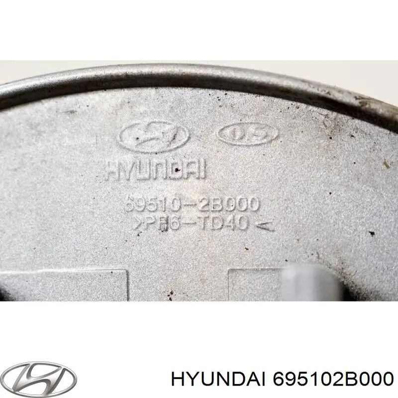 Купить 695102B000 Hyundai/Kia Лючок б/бака