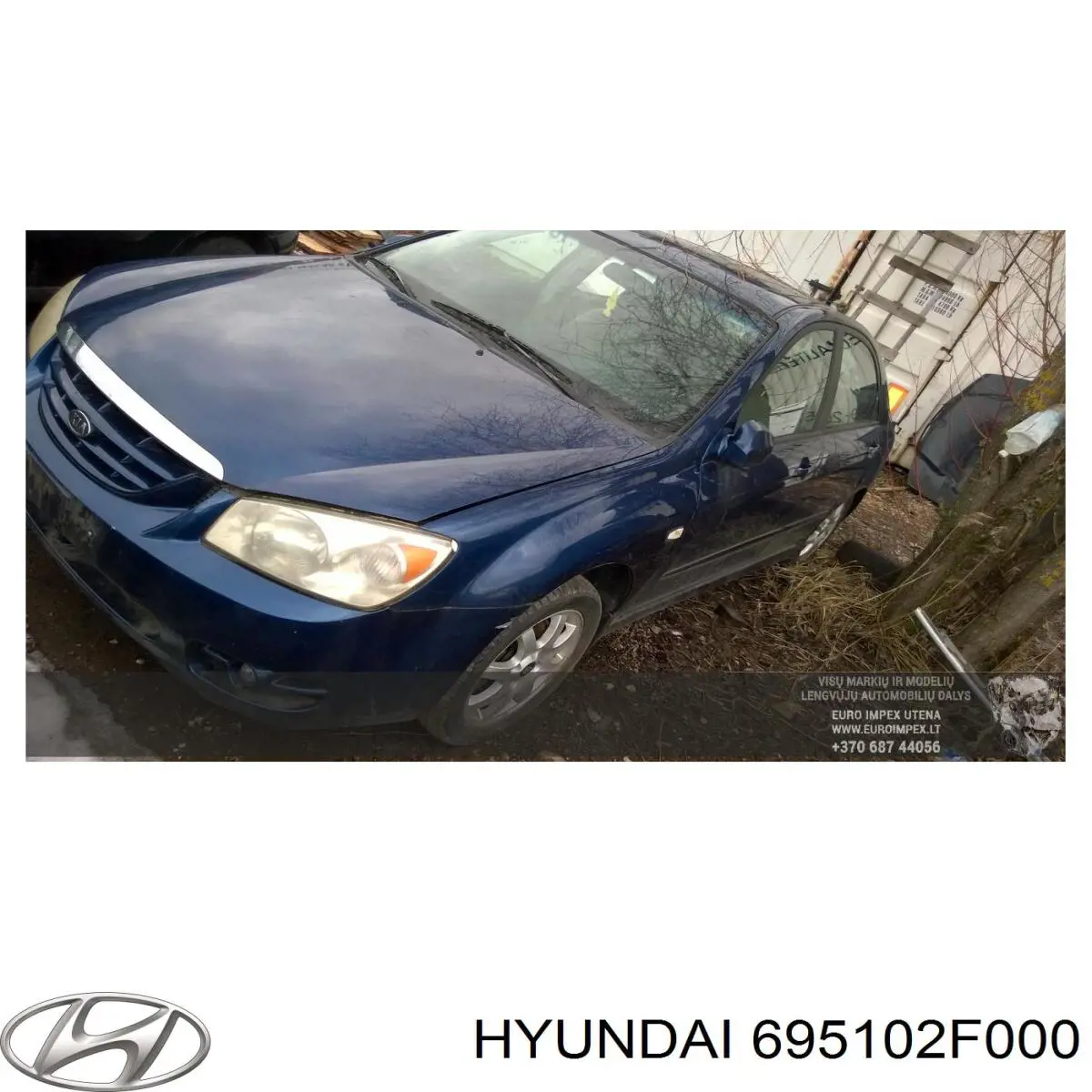 695102F000 Hyundai/Kia Дверка бензобака