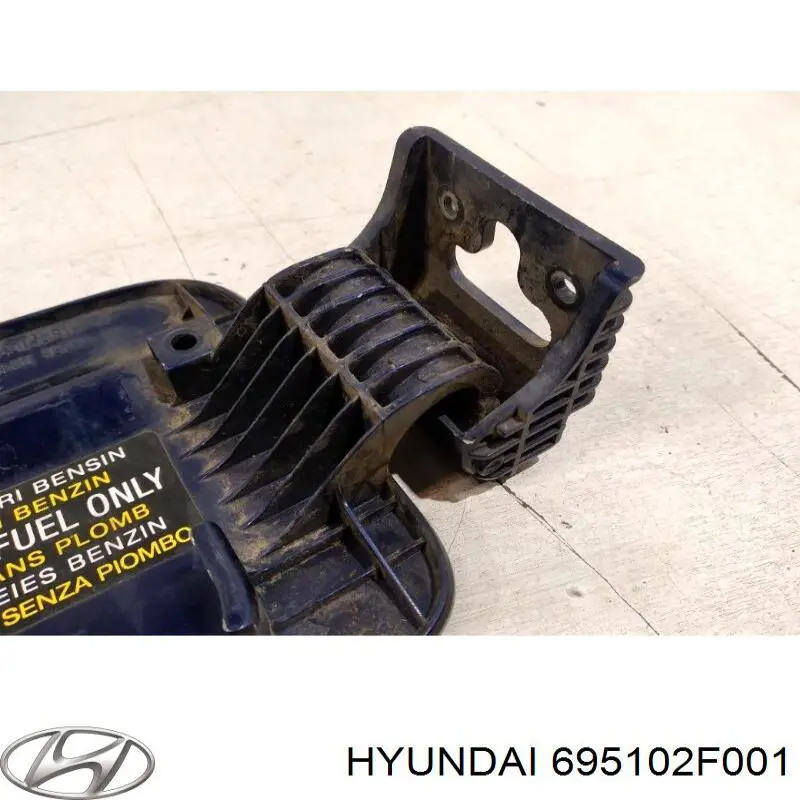 Купить 695102F001 Hyundai/Kia Лючок б/бака
