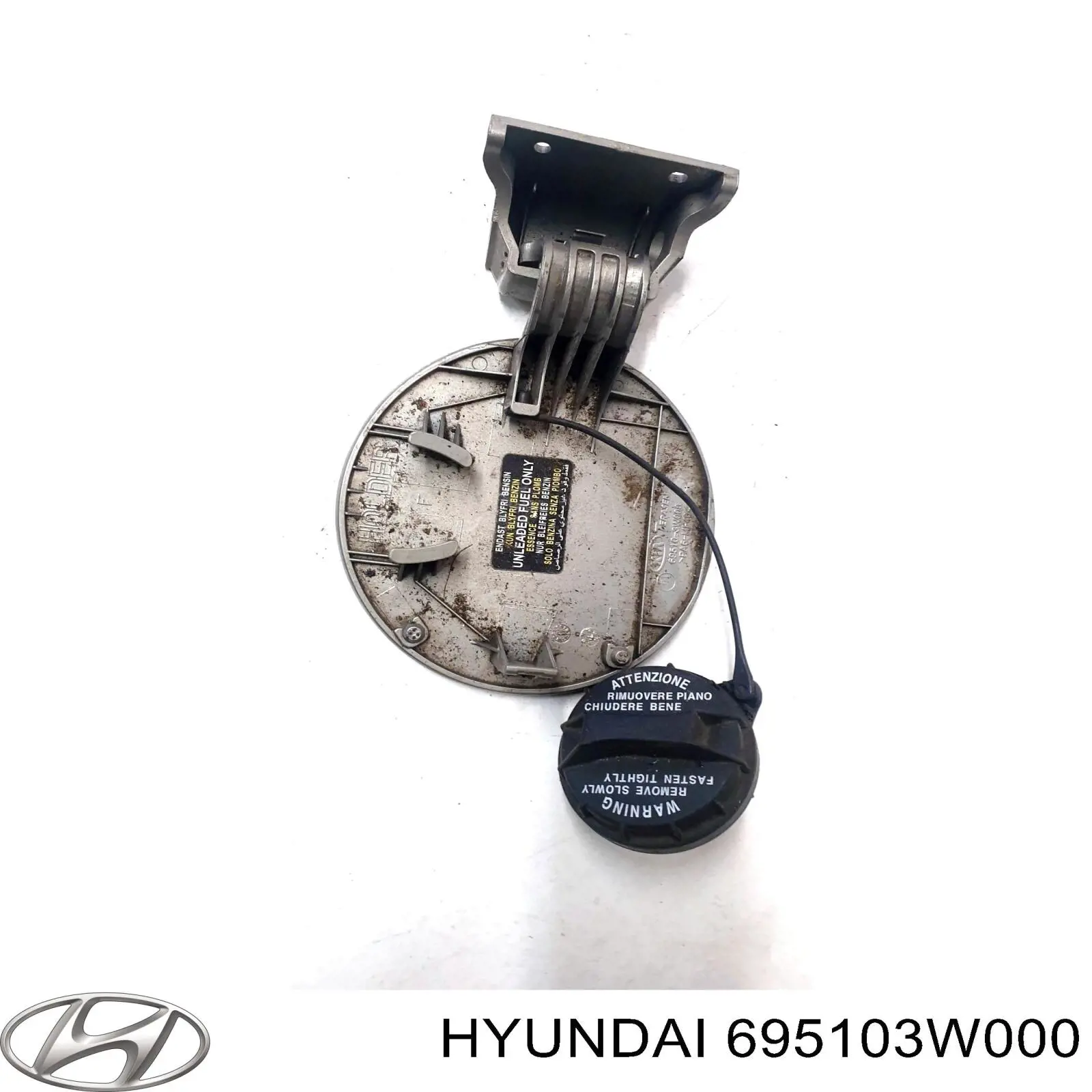 Лючок (дверца) бензобака Hyundai/Kia 695103W000 цена, от 9.72 USD