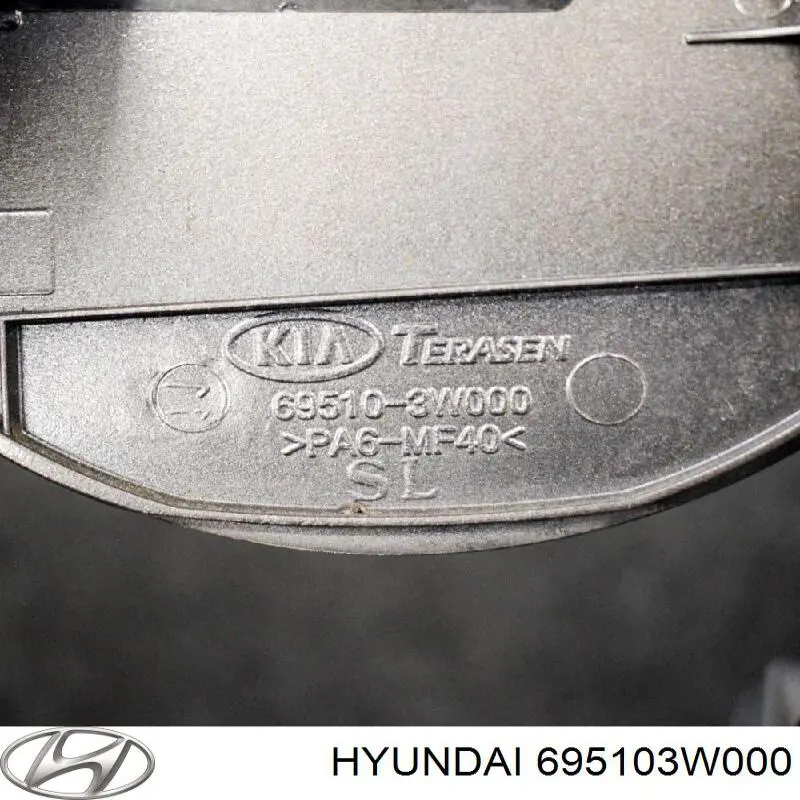 Купить 695103W000 Hyundai/Kia Лючок б/бака