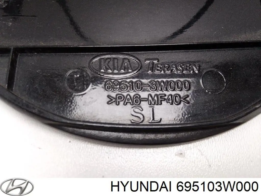 Лючок топливного бака Hyundai/Kia 695103W000
