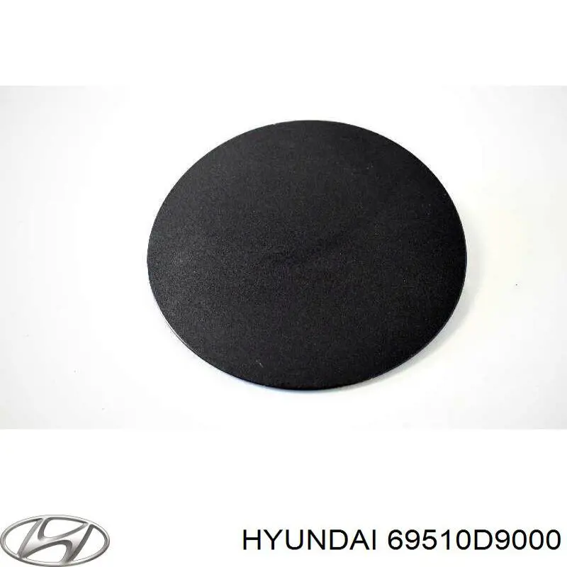 Купить 69510D9000 Hyundai/Kia Лючок б/бака