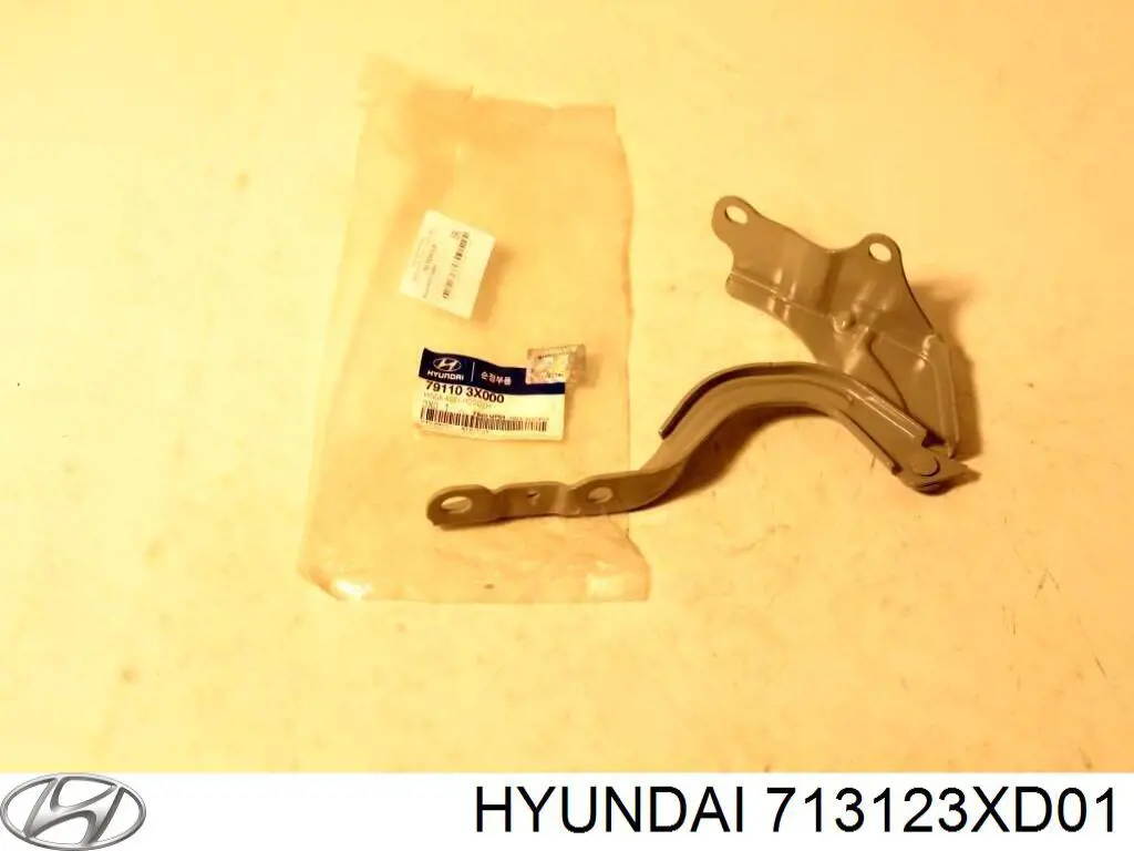 Chapa de acceso izquierda 713123XD01 Hyundai/Kia