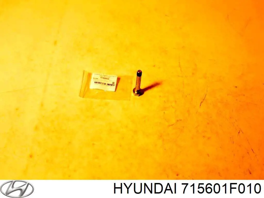  715601F010 Hyundai/Kia