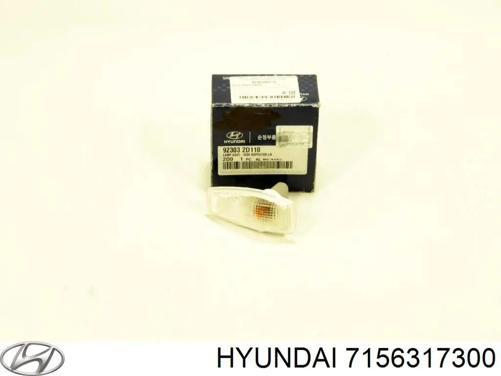 7156317300 Hyundai/Kia 