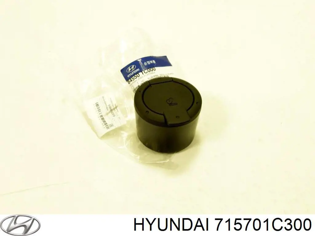 715701C300 Hyundai/Kia 