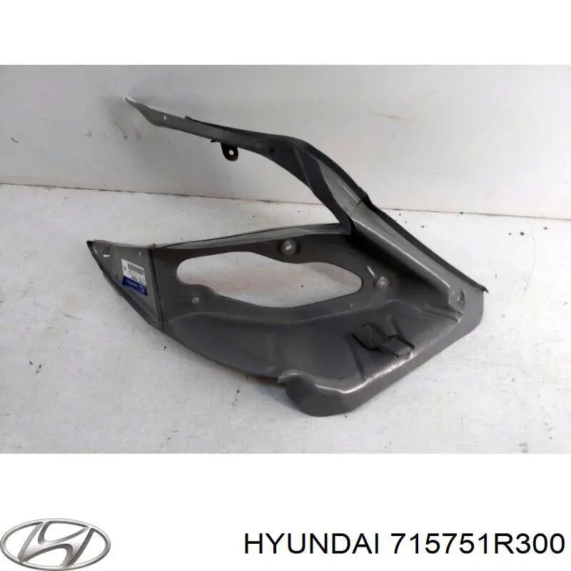 Panel, soporte piloto trasero 715751R300 Hyundai/Kia