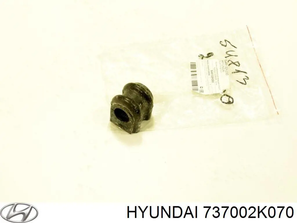 737002K070 Hyundai/Kia Задняя дверь