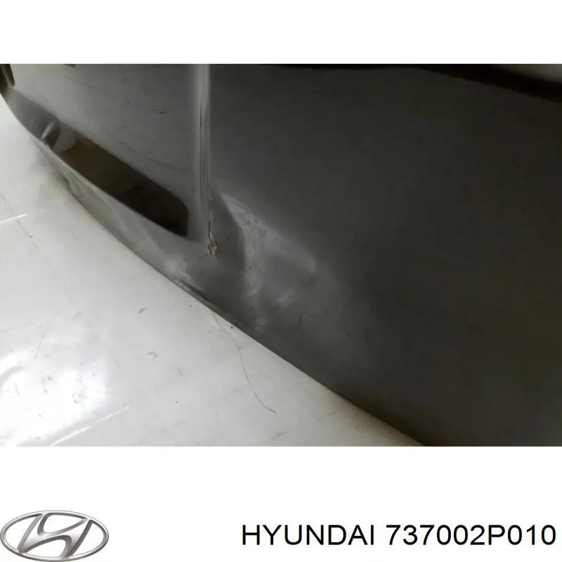 737002P010 Hyundai/Kia Задняя дверь