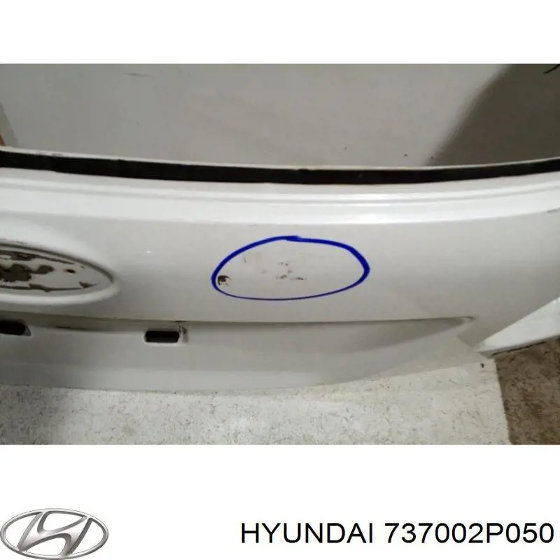 737002P050 Hyundai/Kia Задняя дверь