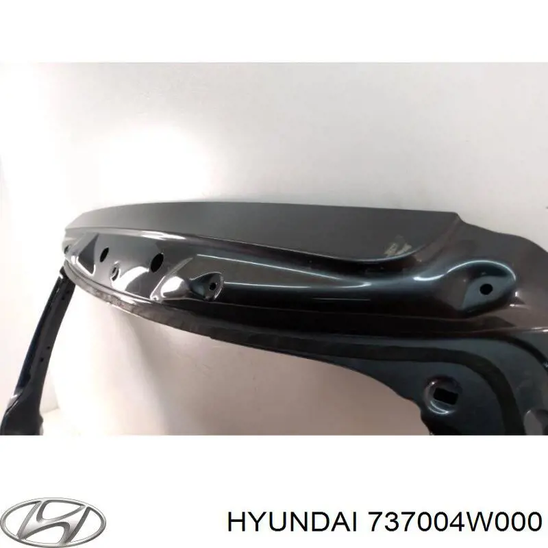 Пятая дверь Hyundai/Kia 737004W000 цена, от 229.83 USD