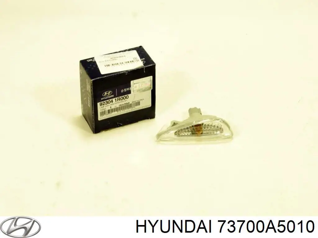 73700A5010 Hyundai/Kia Задняя дверь