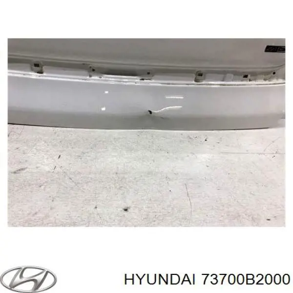 Задняя ляда Hyundai/Kia 73700B2000