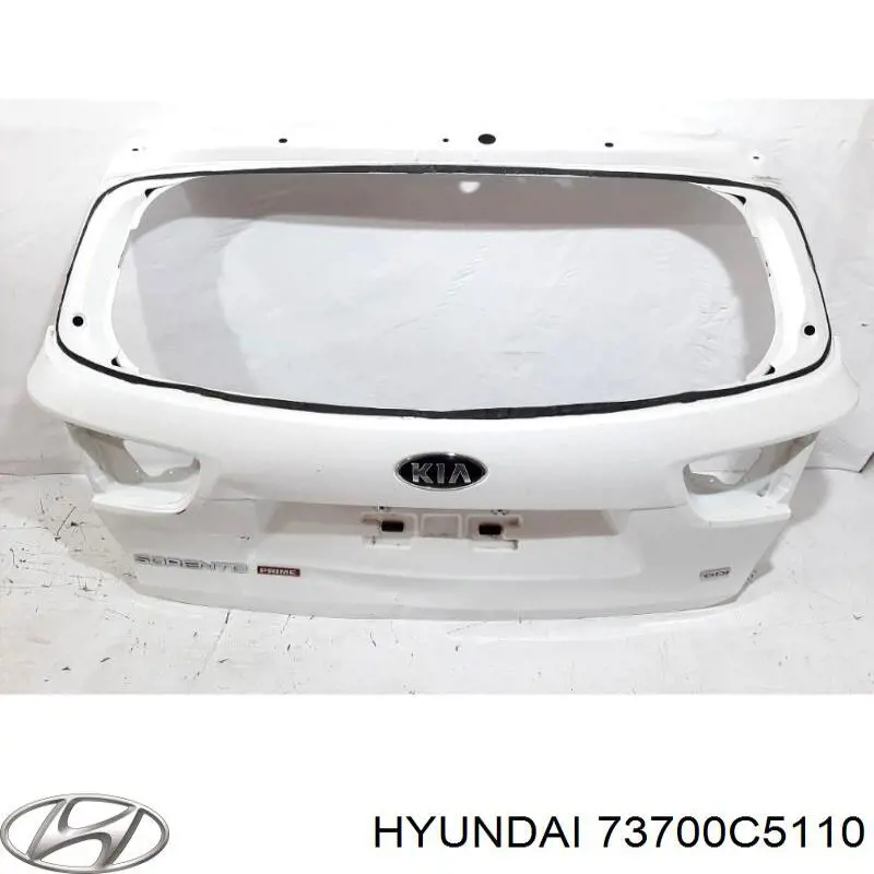  73700C5110 Hyundai/Kia